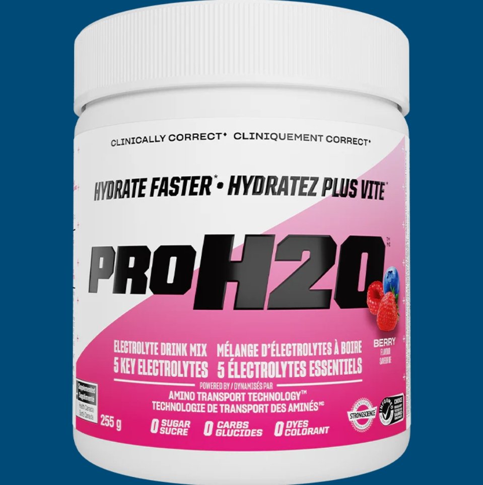 PVL PVL Pro H20 255g Hydration